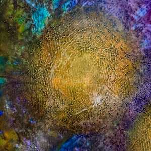 Luminous by louie . rochon . fine . art 