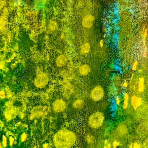 Luminous by louie . rochon . fine . art 