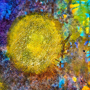 Luminous by louie . rochon . fine . art 