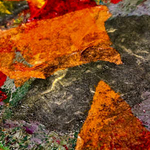 Bloom Like You Mean It by louie . rochon . fine . art, Image 12.