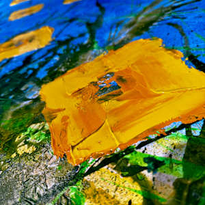 Bloom Despite Chaos by louie . rochon . fine . art, Image 9.