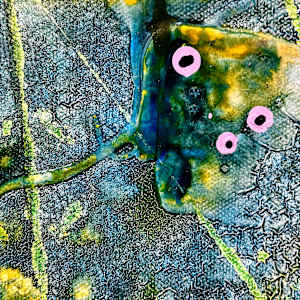 Bloom Despite Chaos by louie . rochon . fine . art, Image 20.