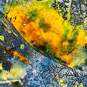 Bloom Despite Chaos by louie . rochon . fine . art, Image 10.