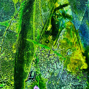 Bloom Despite Chaos by louie . rochon . fine . art, Image 23.