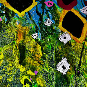 Bloom Despite Chaos by louie . rochon . fine . art, Image 11.
