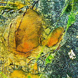 Bloom Despite Chaos by louie . rochon . fine . art, Image 19.
