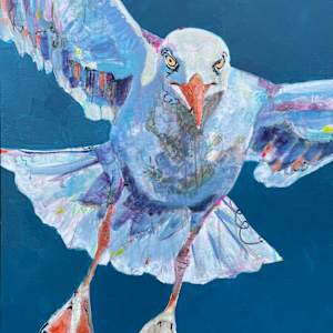 Anflug by Diana Linsse 