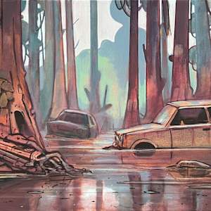 Swamp and Abandoned Cars by Ross Morgan, Image 1.