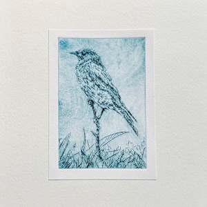 Bluebird by Jessica Arends