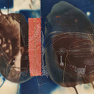 Cartography of Fragments by Mei Mei Chang, Image 1.
