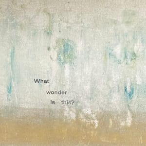 What Wonder by Theresa Esterlund
