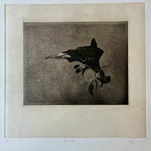Bird II by Jenny Freestone