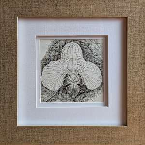 Golden Leo Orchid by Ariane D'Souza