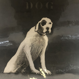 Dog in the Fog by William Dunlap