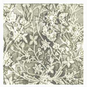 Diversity Lace (dark) by Brooke Ann Inman