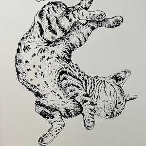 Play Time by Rebecca York