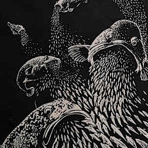 The Sightless Swarm by Yoshiko Jaeggi