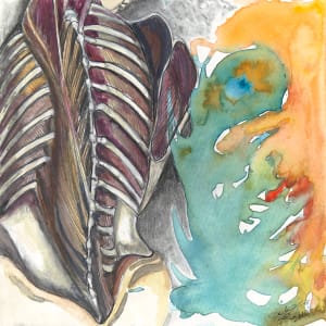 Anatomy Series #2 by Sarah Kahle