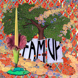 Team Up by Elaine Langerman