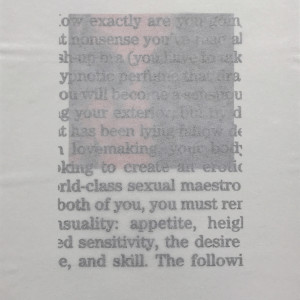 A Pack of Lies (Portfolio) by Despina Meimaroglou  Image: Text interfacing  with Print "II"