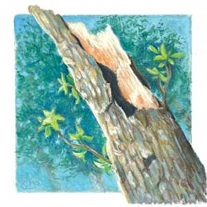 Never Give Up by Jen Sheckels