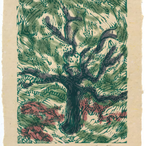 Olive Tree by Lynn Sures