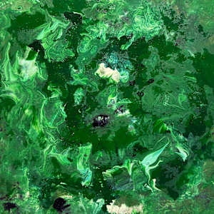 Camouflage by Anastasia Walsh