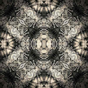 Pyramid’s Papyrus by Denise Wamaling