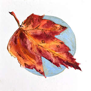 Maple by Max-Karl Winkler