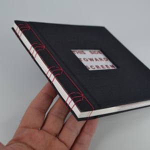 THIS SIDE TOWARD SCREEN by Ben DiNino, Image 5.