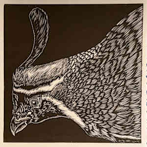 Better with Birds by Daniella Napolitano