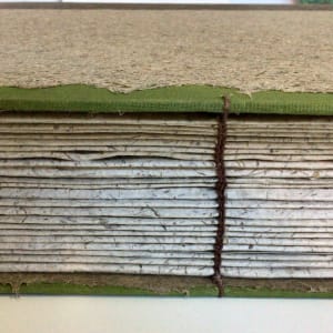 Plant Transformations, Observations, and Interactions by Megan Singleton  Image: coptic binding detail