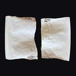 Delphiniums Couplet Book II by Yvette Grutter, Image 11.