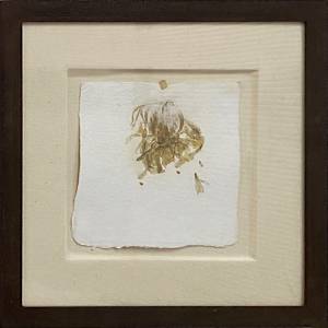 Agapanthus by Yvette Grutter, Image 2.