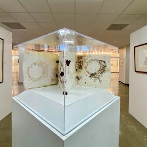 Mirror Book by Yvette Grutter, Image 2.