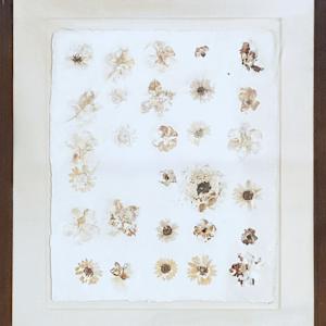 Botany I by Yvette Grutter, Image 2.