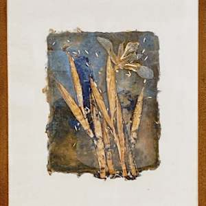 Iris by Yvette Grutter, Image 2.