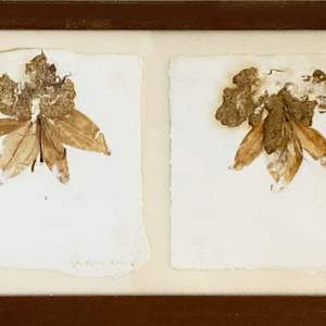 One-Plus-One - Two Lilies by Yvette Grutter, Image 2.