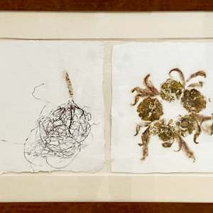 Raiz by Yvette Grutter, Image 2.