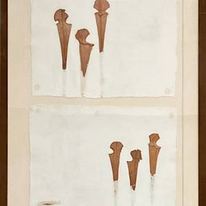 Sarracenias Dance by Yvette Grutter, Image 2.