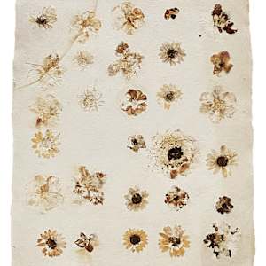 Botany I by Yvette Grutter, Image 3.