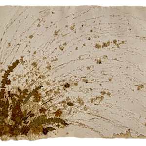 Flower Rain by Yvette Grutter, Image 1.