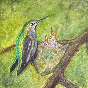 Hummer Nest by Dee Elle