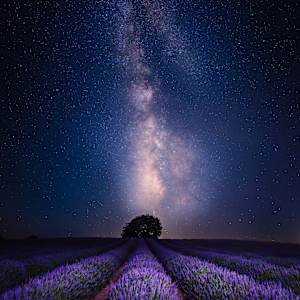 Brihuega - Lavender Fields under the Milky Way by Juan Matorras
