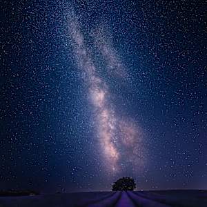 Brihuega - Milky Way over Lavender Fields by Juan Matorras