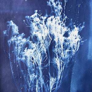 Botanical 7 by CELINE LEFORT, Image 1.