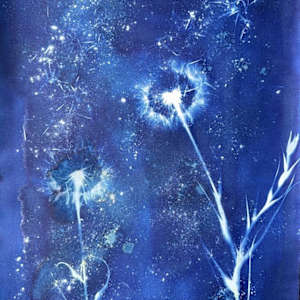 Made a wish 8 by CELINE LEFORT, Image 1.