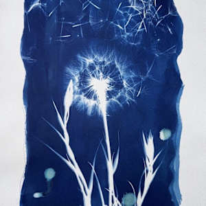 Made a wish 7 by CELINE LEFORT, Image 1.