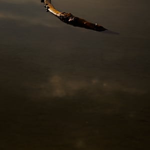 Adrift 1/10 by Bryan Sabol