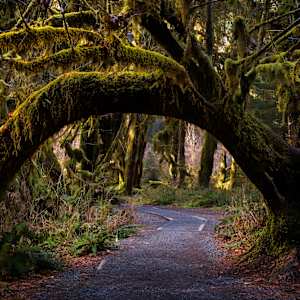 Living Gateway 1/10 by Bryan Sabol